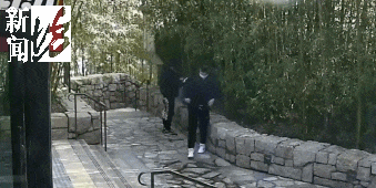 皇冠信用网账号_太猖狂!事发上海迪士尼皇冠信用网账号,7人被刑拘