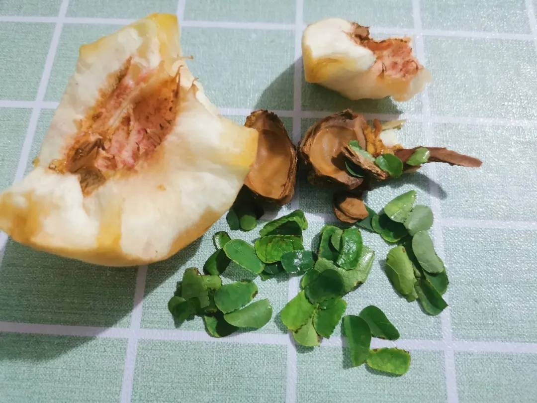 皇冠信用網如何注册_咬开桃子发现一堆树叶？莫慌皇冠信用網如何注册！你是遇到了它→