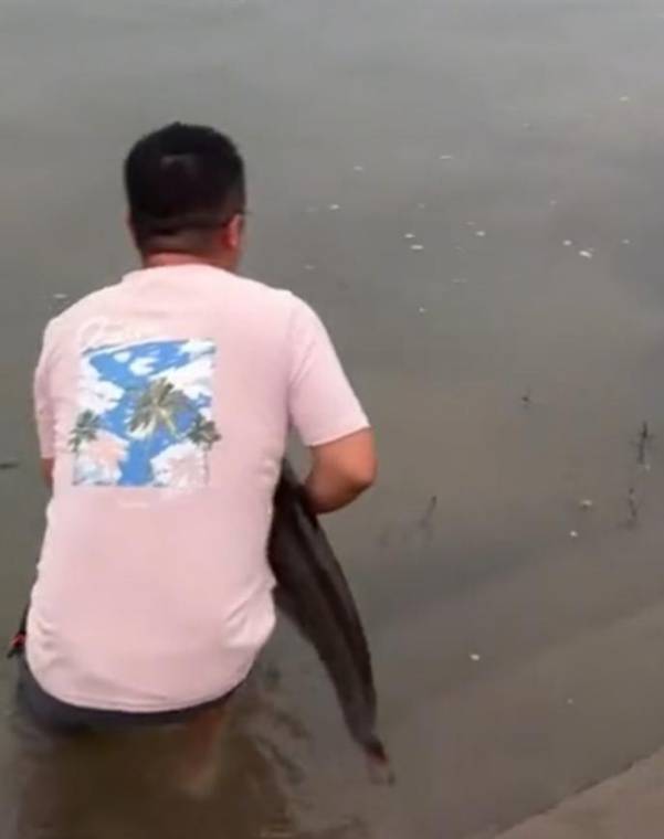 皇冠代理注册_四川一男子钓1米长大鱼后放生皇冠代理注册,围观者高呼“卖给我”,回应:钓鱼是为娱乐