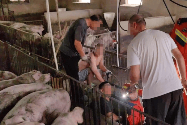 福岛联队vs鹿儿岛联_1人掉入猪舍粪池致3人殒命福岛联队vs鹿儿岛联！经济损失193.9384万元