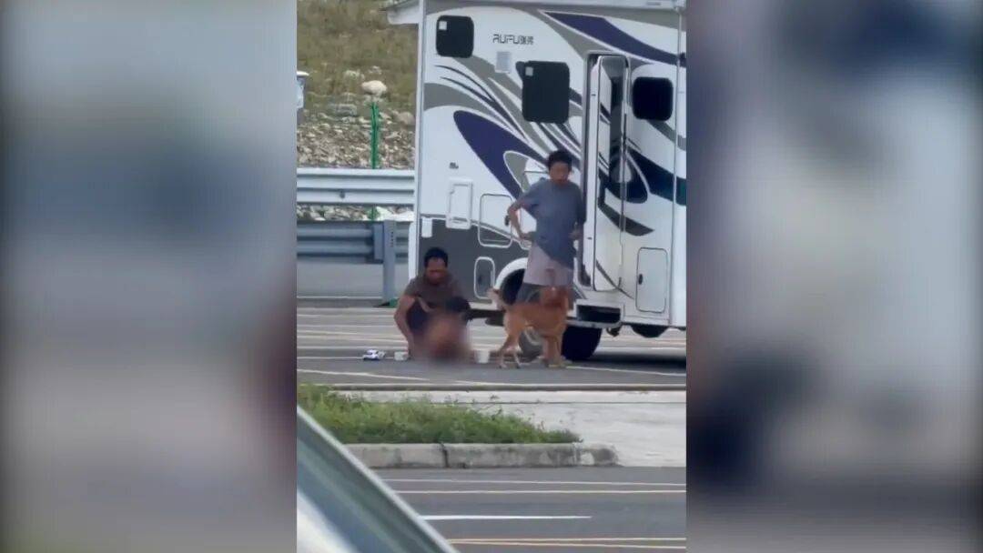 皇冠登3管理出租
_村民：“野人小孩”父亲上山“灵修”后就不正常皇冠登3管理出租
了