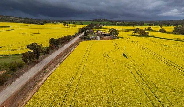 莱斯特城 vs 米德尔斯堡
_澳大利亚给中国发货莱斯特城 vs 米德尔斯堡
,加拿大农民急了