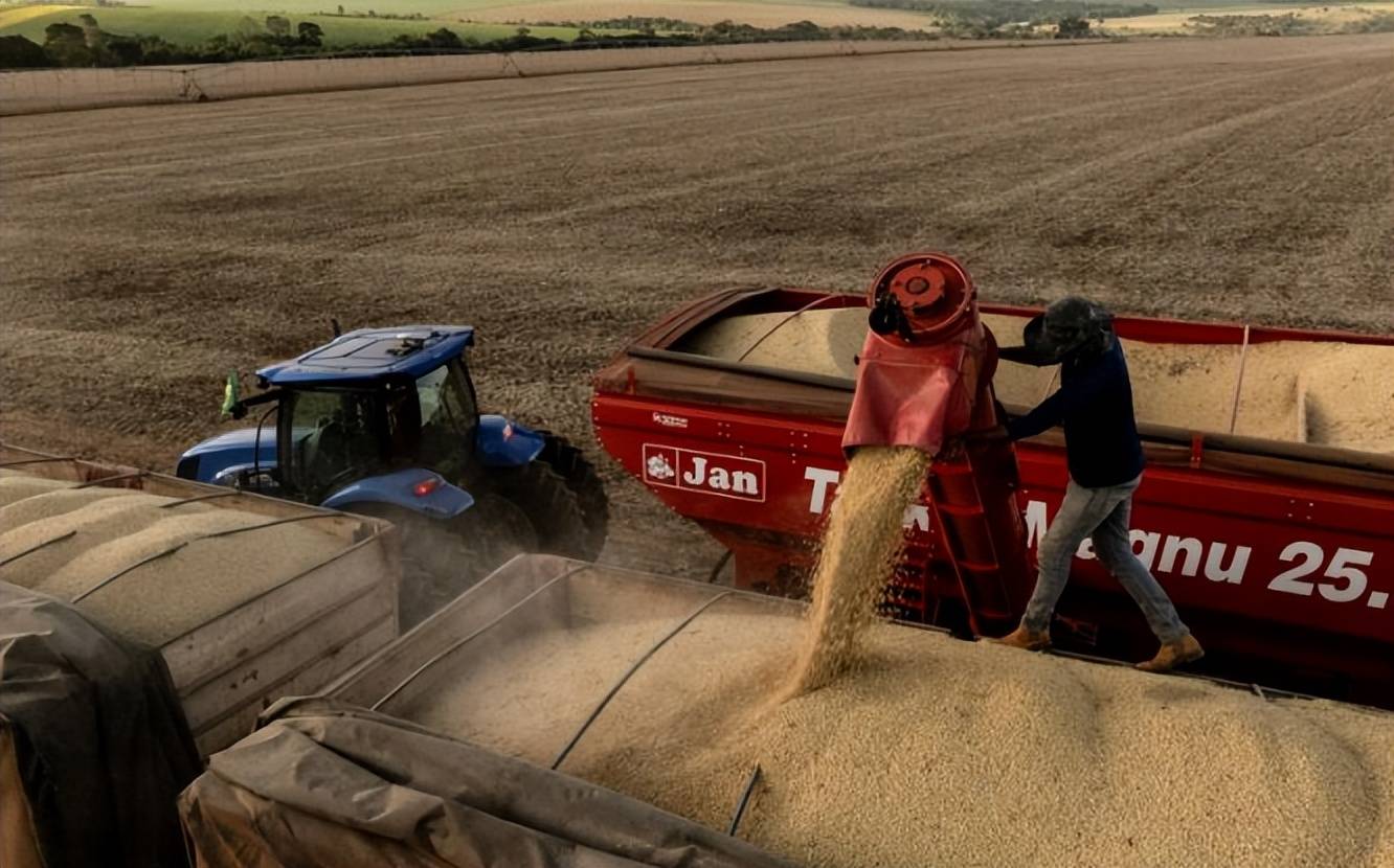 皇冠信用网
_美国大豆比巴西豆贵还加税皇冠信用网
，中国采购停滞不是违约，市场规律才是关键？