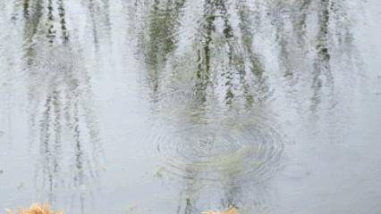 皇冠信用网最高占成_“挺壮观皇冠信用网最高占成，好像水被煮开了”！时隔30余年，顺义箭杆河泉眼复涌