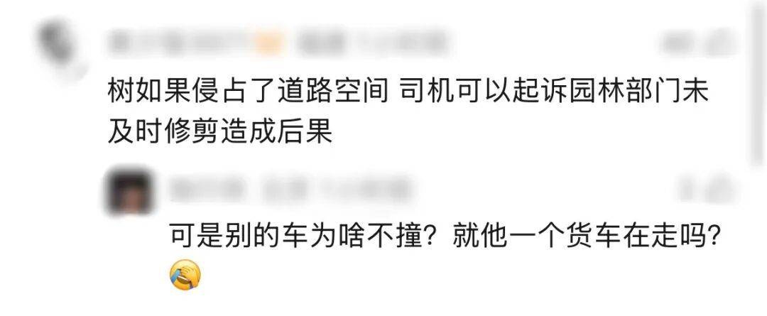 世界杯代理_“树全责世界杯代理！”上海一司机撞树喊冤：这棵树长太歪！交警一句话点醒众人